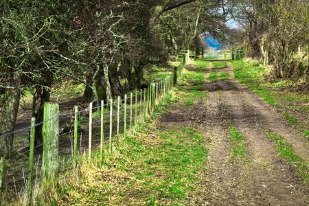 Country track in the Cheviot Hills, Scotlandの写真素材
