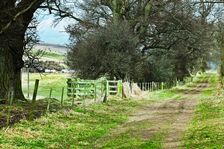 Country track in the Cheviot Hills, Scotlandの写真素材