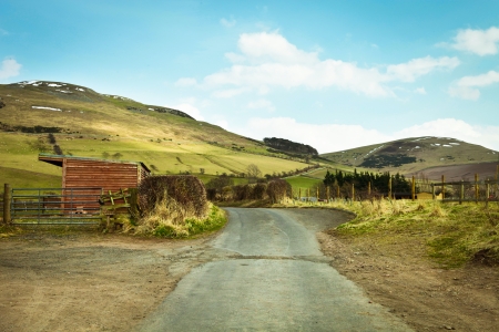 Country track in the Cheviot Hills, Scotlandの写真素材