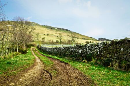 Country track in the Cheviot Hills, Scotlandの写真素材