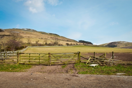 A meadow at a farm in Yetholm, Scotlandの写真素材