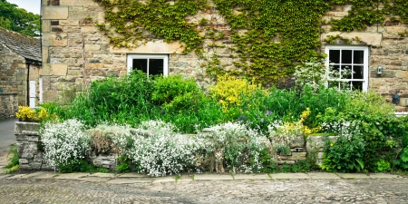 Vibrant summer plants at the front of a stone cottage in Englandの写真素材