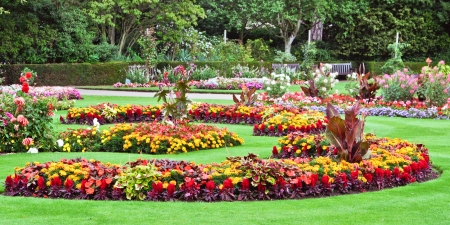 An english country garden in full summer bloomの写真素材