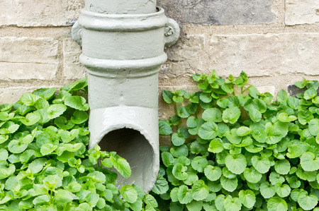 Opening of a drainpipe on an old stone wallの写真素材