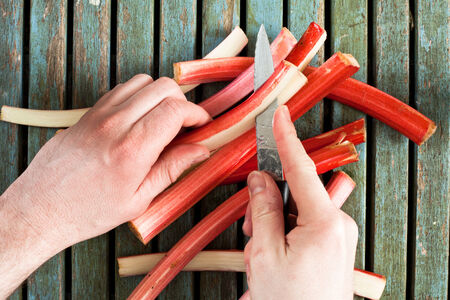 A man's hands cutting fresh rhubarbの写真素材