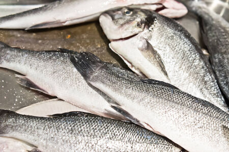 Raw seabream and seabass ready for cooking