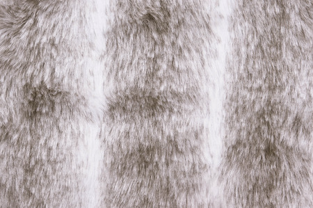 Grey and white fur backgroundの写真素材