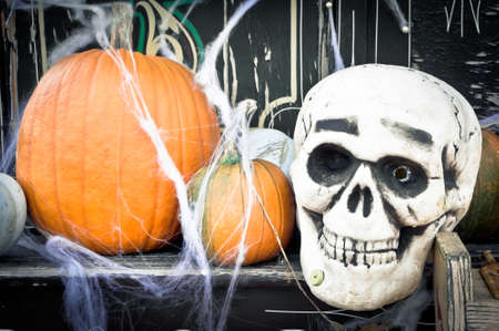 Pumpkin display with a skull, for Halloweenの写真素材