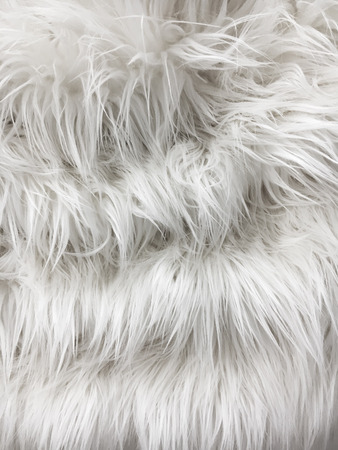 Part of some off-white fur fabric as a backgroundの写真素材