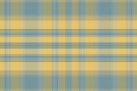Tartan plaid pattern with texture. Vector illustration.のイラスト素材