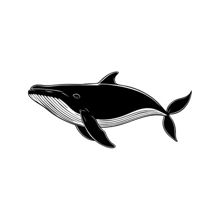 This article celebrates the majestic whales, exploring their behaviors, habitats, and the critical role they play in marine ecosystems. Protecting them ensures a healthier planet.のイラスト素材