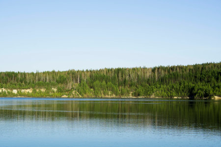 Thick forest on the banks of the flooded quarryの写真素材
