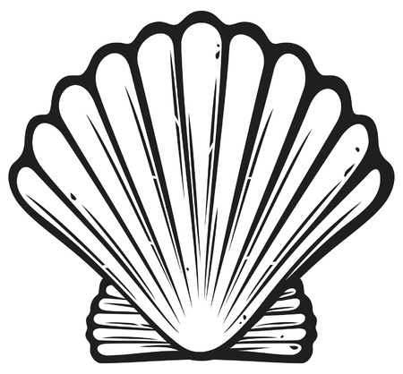 seashell (sea shell)のイラスト素材