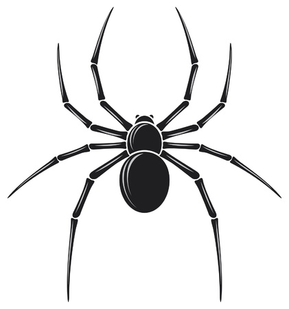 spiderのイラスト素材