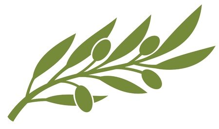 olive branch (olive symbol)のイラスト素材
