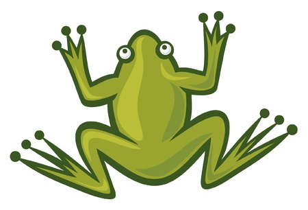 frog