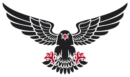 black eagleのイラスト素材