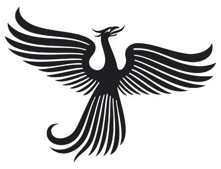 Phoenix birdのイラスト素材