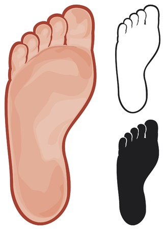 footのイラスト素材