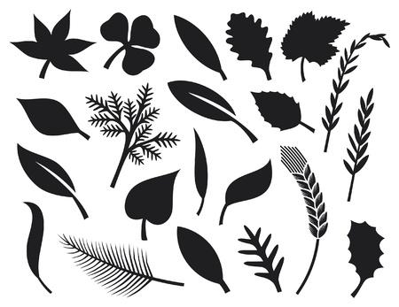 collection of leaf silhouettes - collection leavesのイラスト素材