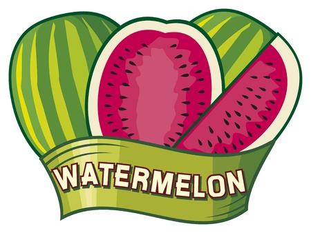 watermelon label designのイラスト素材