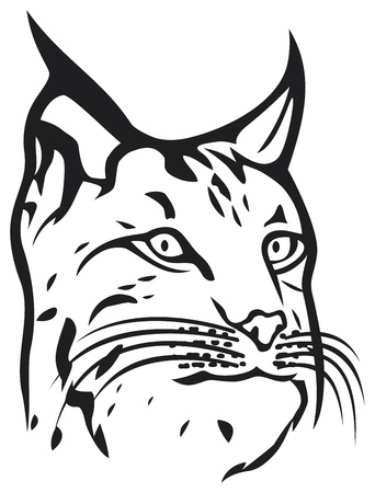 head of lynxのイラスト素材