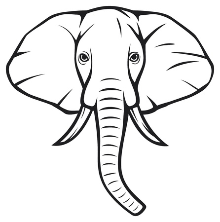 elephant head (african elephant)のイラスト素材