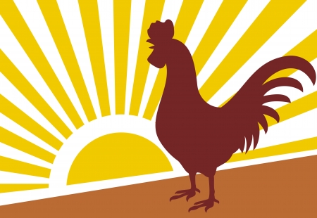 rooster and morning sun  rooster at dawn のイラスト素材
