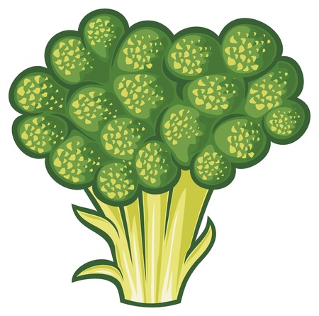 broccoliのイラスト素材