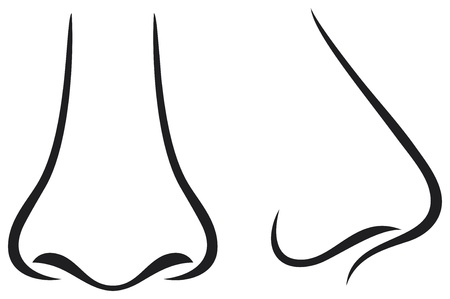 noseのイラスト素材