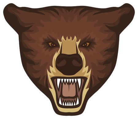 bear headのイラスト素材