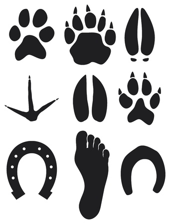 paw printsのイラスト素材
