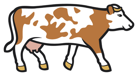 cow vector illustrationのイラスト素材
