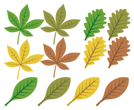 vector collection of leaf silhouettes  leaves icons のイラスト素材