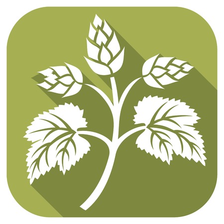 hops leaf flat icon (hops plant, hop symbol, hop leaves, hop branch, beer symbol)のイラスト素材