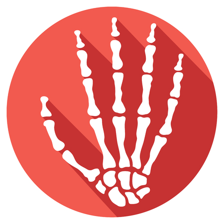 human skeleton hand flat iconのイラスト素材