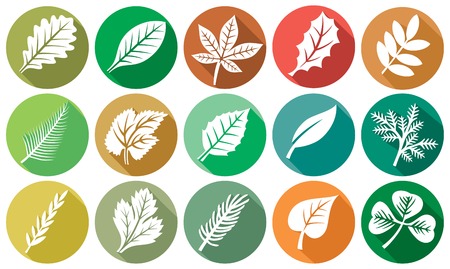leaf flat icons set leaves iconsのイラスト素材