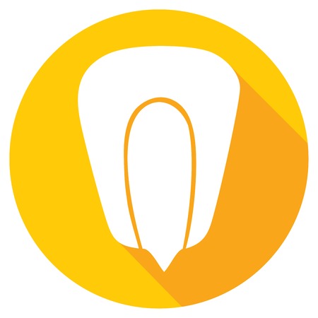 grain of corn flat icon (kernel corn, corn seed grain)のイラスト素材