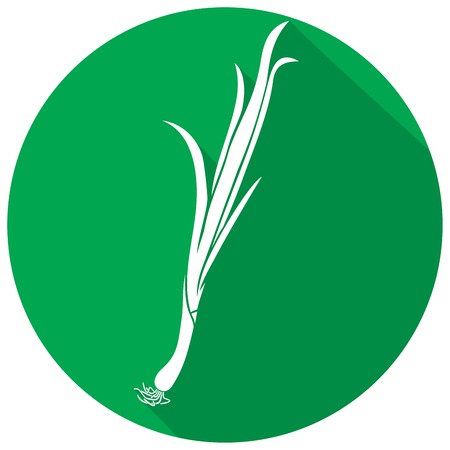 fresh green onion flat iconのイラスト素材