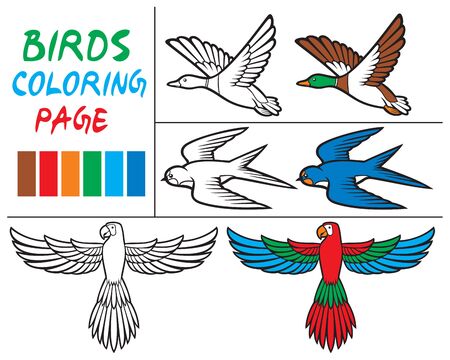 coloring book vector illustration of parrot, duck and swallowのイラスト素材