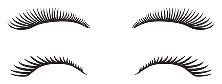 An eyelashes vector design.のイラスト素材