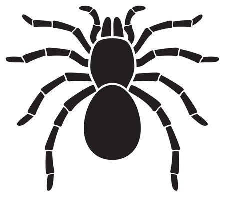 Tarantula Spider (insect) vector iconのイラスト素材