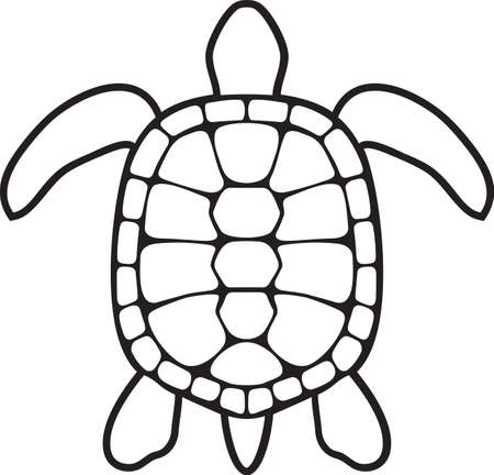 Turtle black and white vector illustrationのイラスト素材