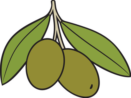 Olive vegetable with leaves color vector illustrationのイラスト素材