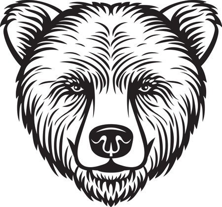 Bear head black and white vector illustrationのイラスト素材