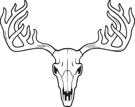 Deer skull black and white vector illustrationのイラスト素材