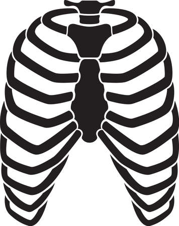 Human rib cage skelton black vector illustrationのイラスト素材