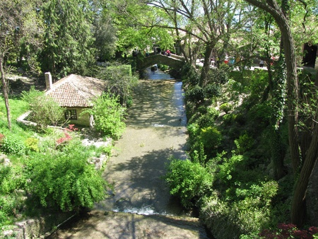 river on botanical gardenの写真素材