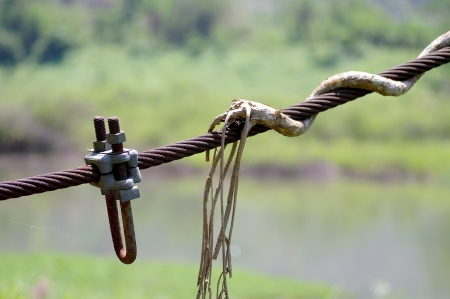 A metal cable with the vineの写真素材