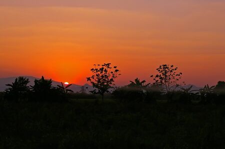 sunset view in the evening in paddy field in thailandの写真素材